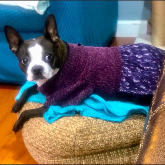 Meet your Posher, Mya - Picture 7 of 13